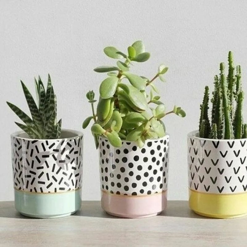 Bobby Printed Planter Set Of 3