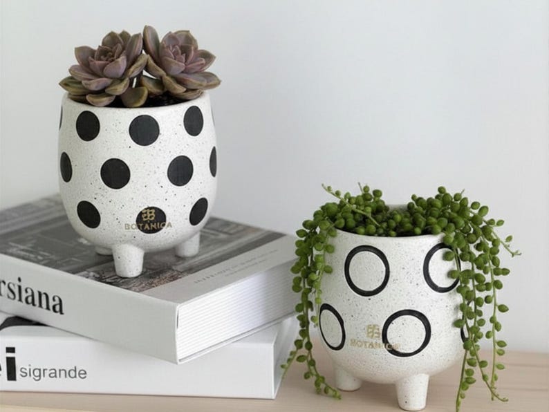Black Polka Dot Planter (Set Of 2)
