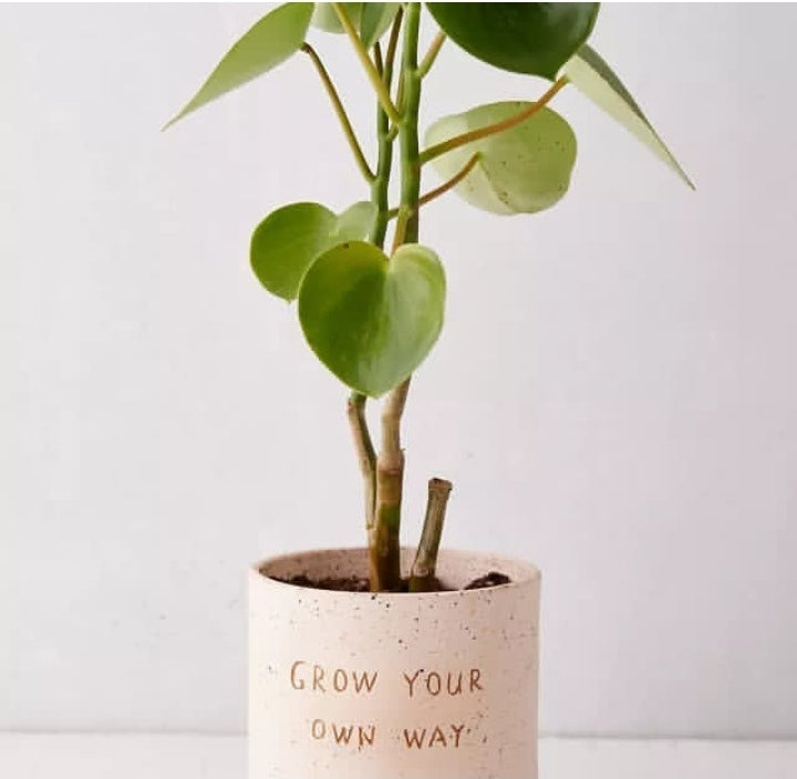Text Planter (Set Of 2)