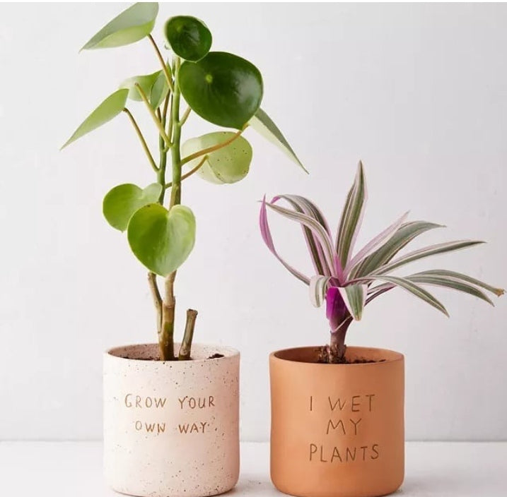 Text Planter (Set Of 2)