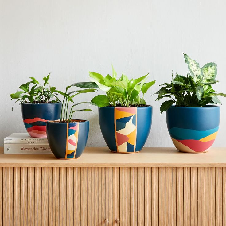 Bloom Planters (Set Of 4)