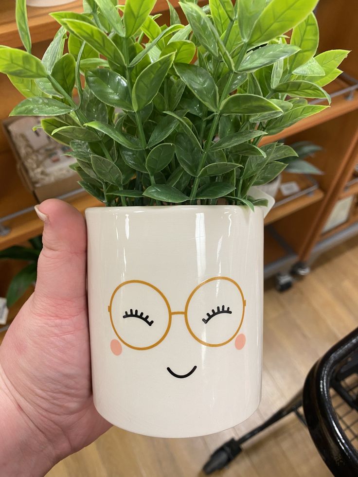 Smiling Face Planter